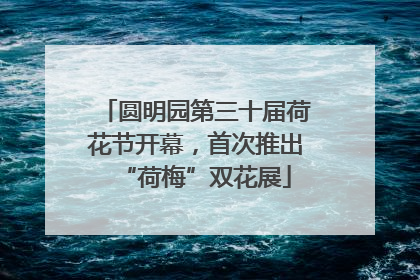 圆明园第三十届荷花节开幕，首次推出“荷梅”双花展